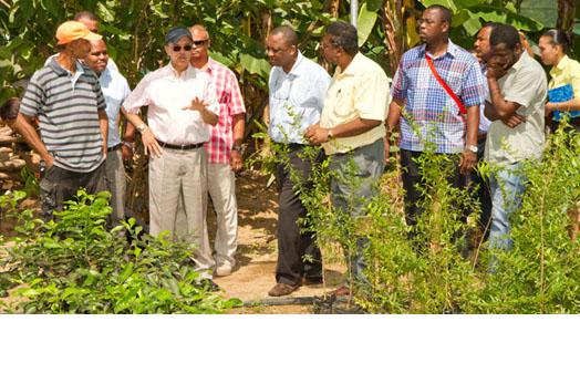 Agriculture Sector Moving Forward in Development
