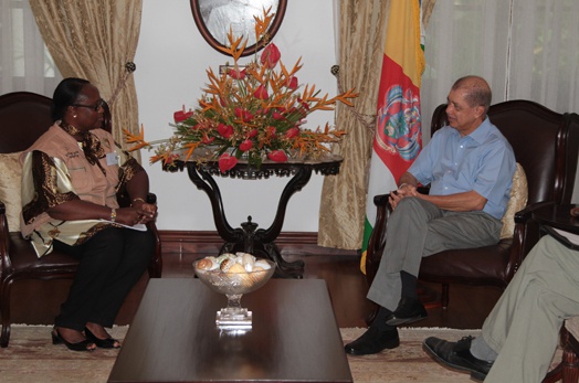 President Michel meets with Head of AU election observation mission